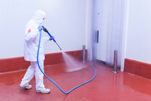 Best Post-Construction Pressure Washing  in East Bangor, PA